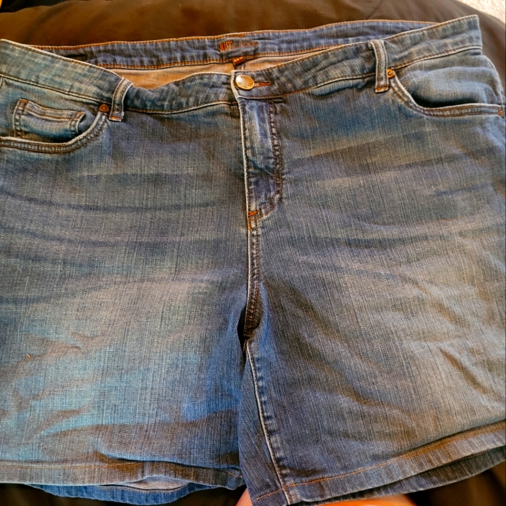 Kut from the Kloth Blue Denim Jean Shorts